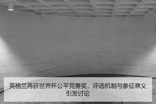 ying-ge-lan-zai-huo-shi-jie-bei-gong-ping-jing-sai-jiang-ping-xuan-ji-zhi-yu-xiang-zheng-yi-yi-yin-fa-tao-lun-2-587.jpg